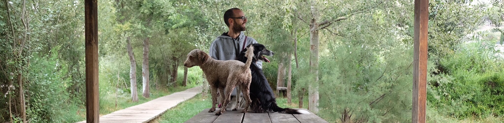 Perro en adiestramiento con su educador