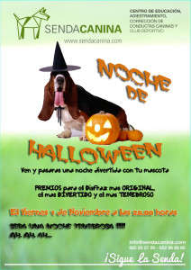 Noche de Halloween en Senda Canina - Adietramiento Canino Granada